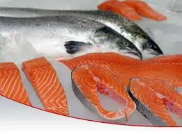 https://chirocare.co.uk/wp-content/uploads/2024/09/Salmon-Feature-pic-for-blog.webp